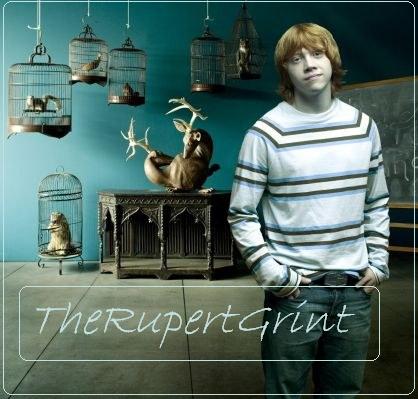 rupert grint