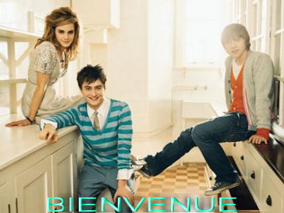 harry  ron et hermione